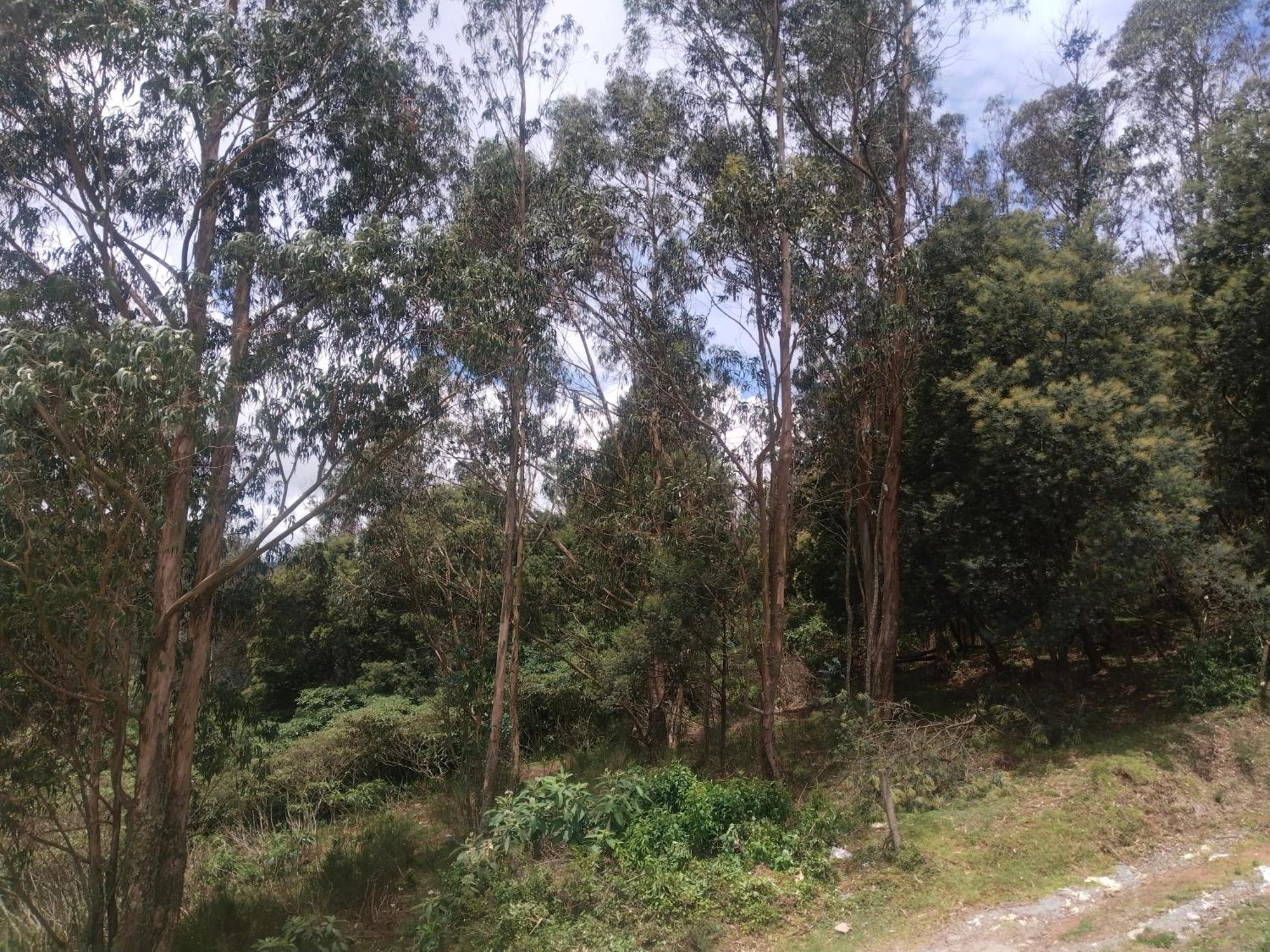 Apartamento Bs Dreamz Ooty Exterior foto